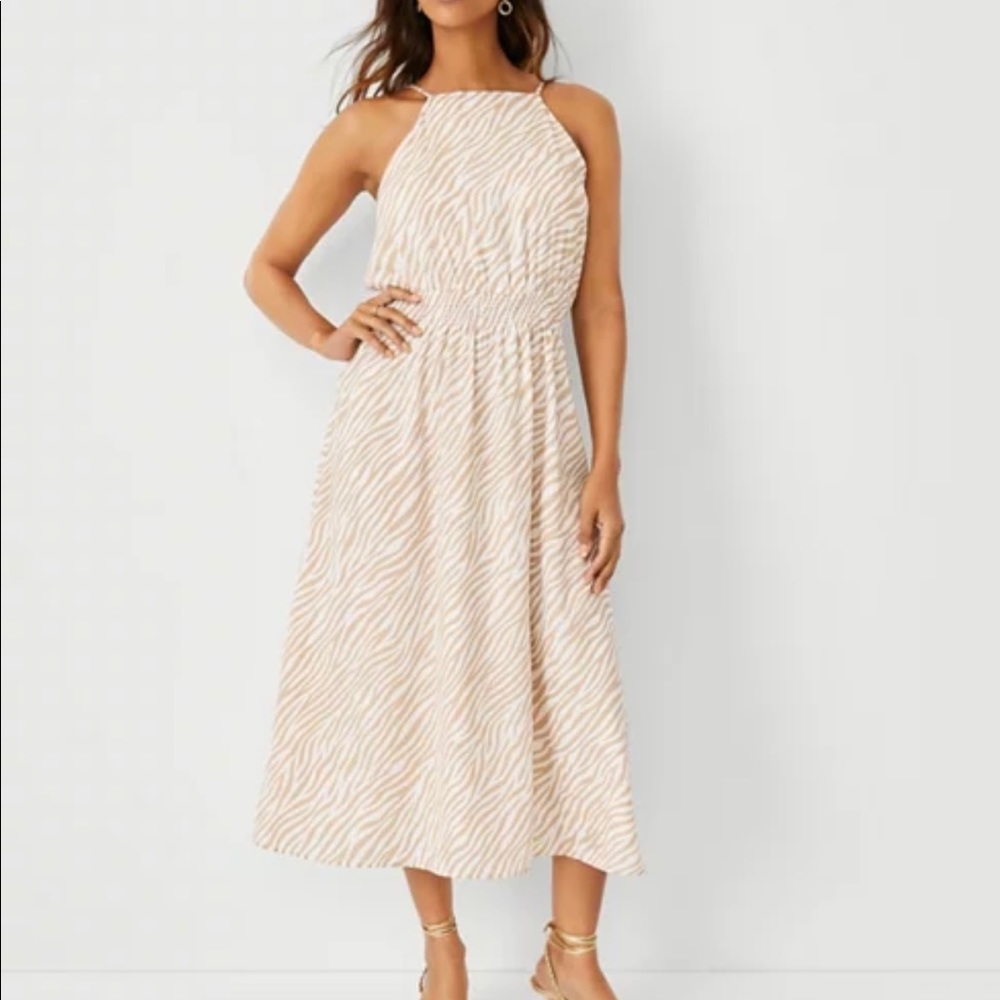 Ann Taylor dress